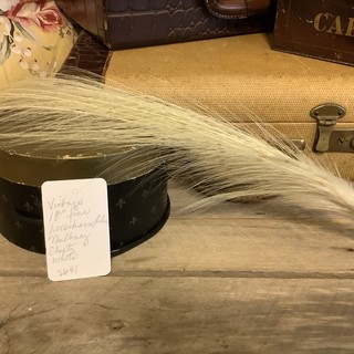 2641🌟Antique Vintage Horsehair like Feather Cluster WHITE Millinery Plume 18”