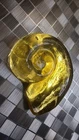 Blenko Glass Shell Paperweight Citrine