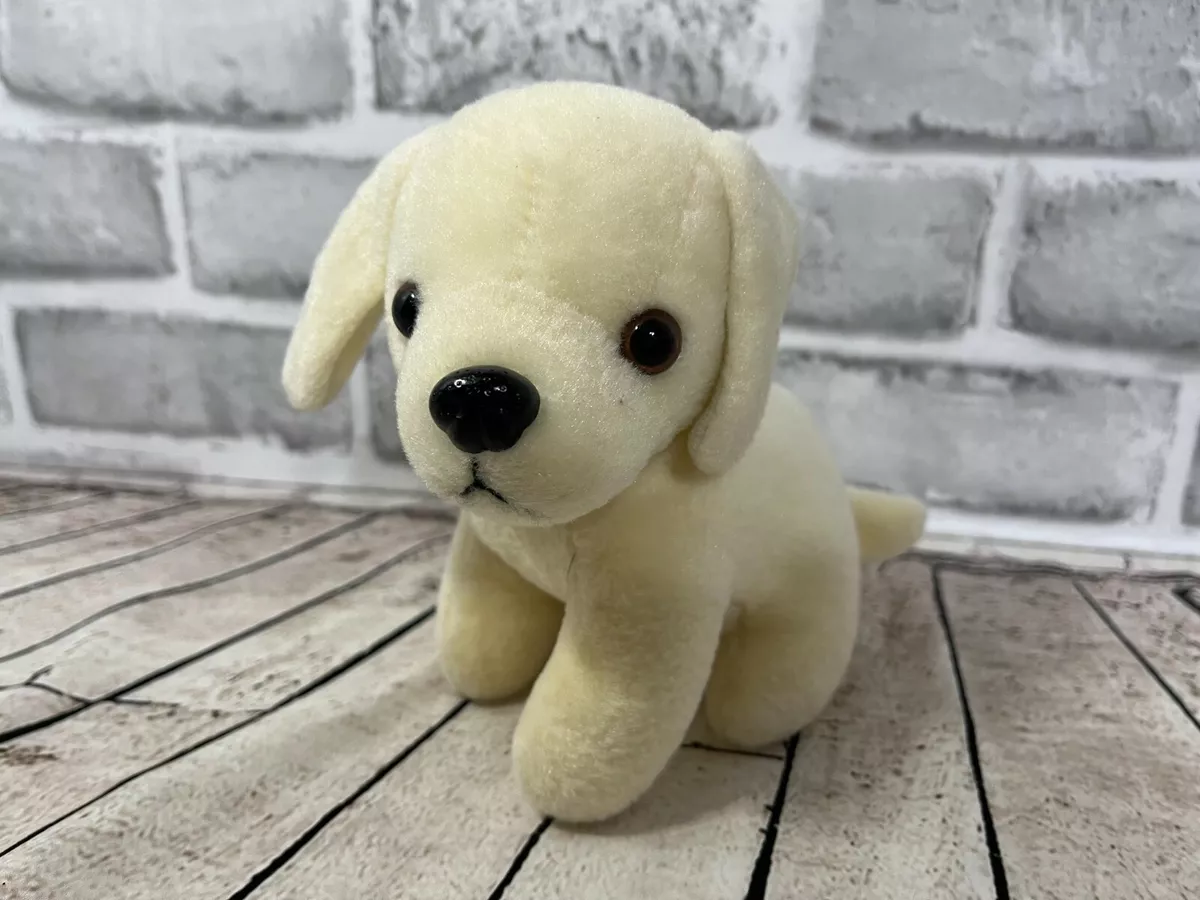 Small hotsell yellow lab