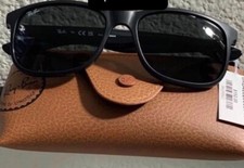 Ray-Ban Andy RB4202 Grey Gradient Lens Sunglasses - Black