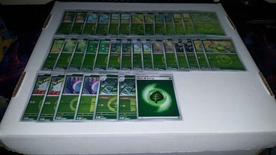 Pokemon Ascended Heroes Complete Base Master Set: Reverse Holos/Holos 500+ Cards