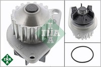 INA 538005510 Wasserpumpe Wapu FüR Citroen FüR Fiat FüR Peugeot
