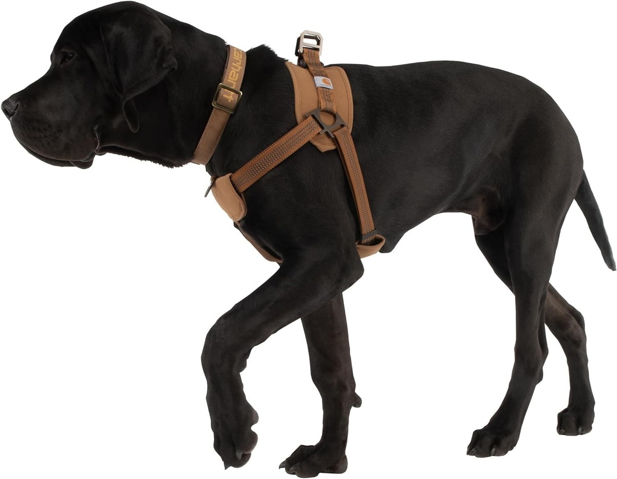 Carhartt Nylon Duck Training Dog Harness Carhartt Brown S, M, L