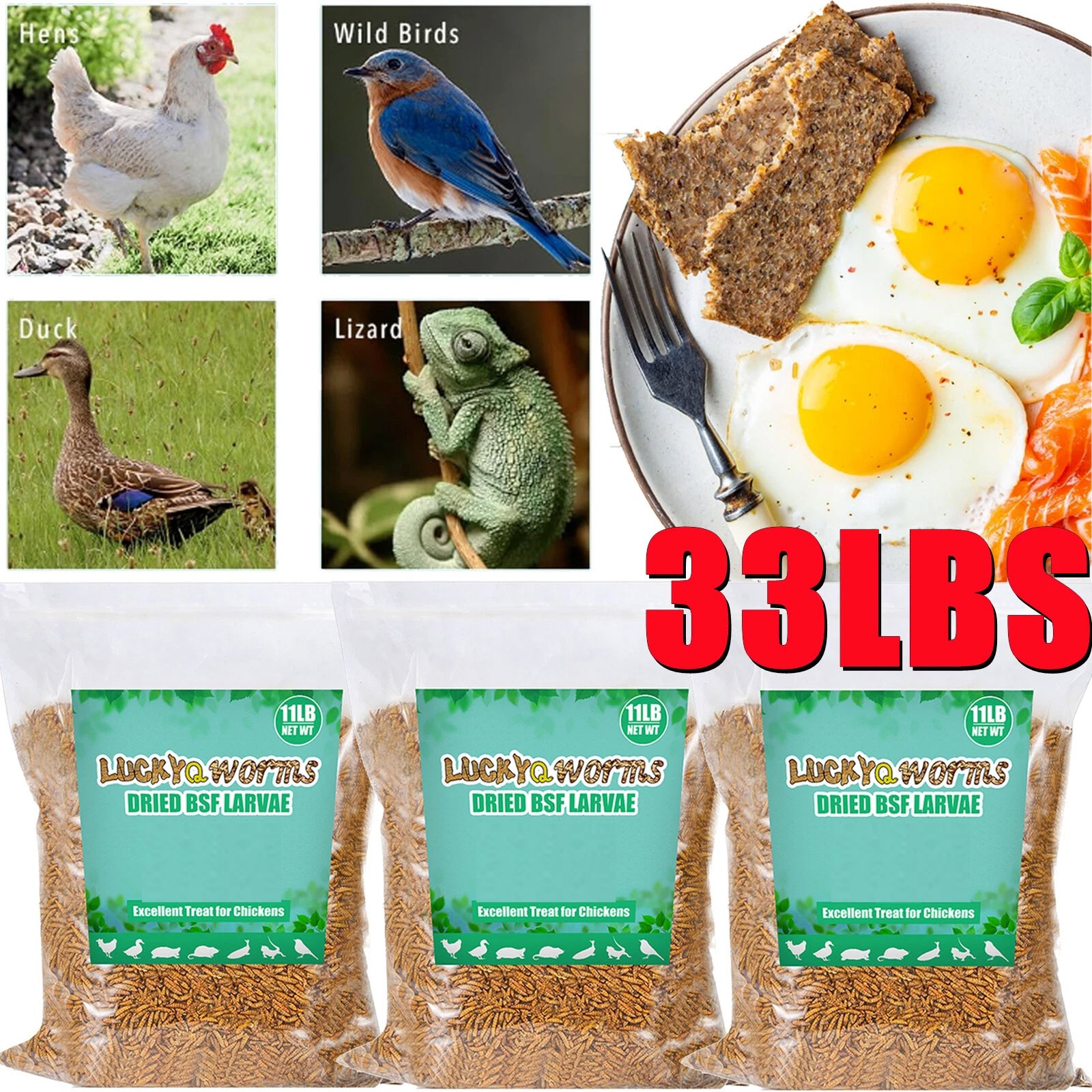 33LBS Bulk Dried BSF Mealworms for Wild Birds Food Chickens Hen Fish Treats Food