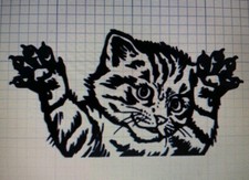 Cat Decal