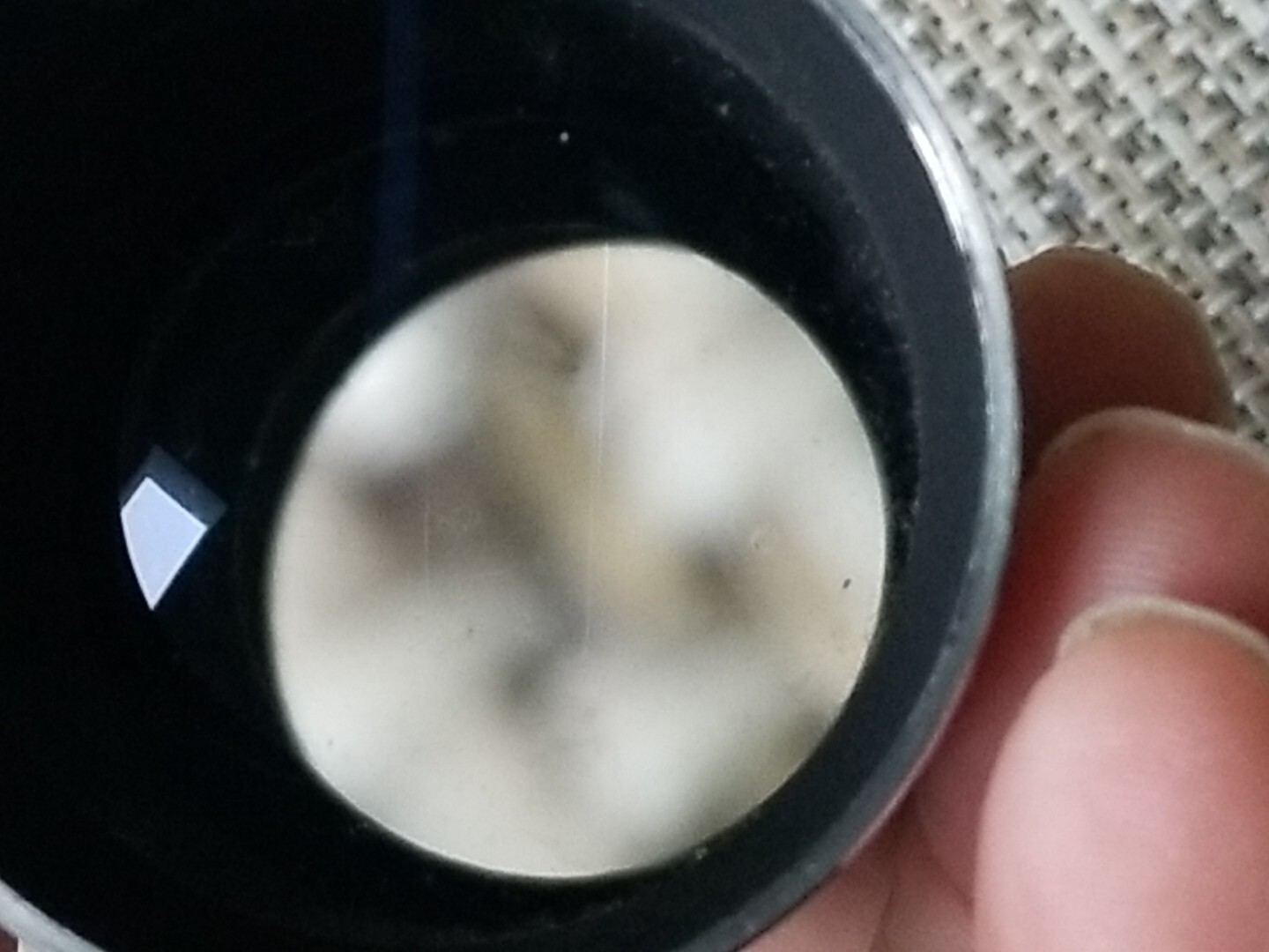 Picture 10 of 10
