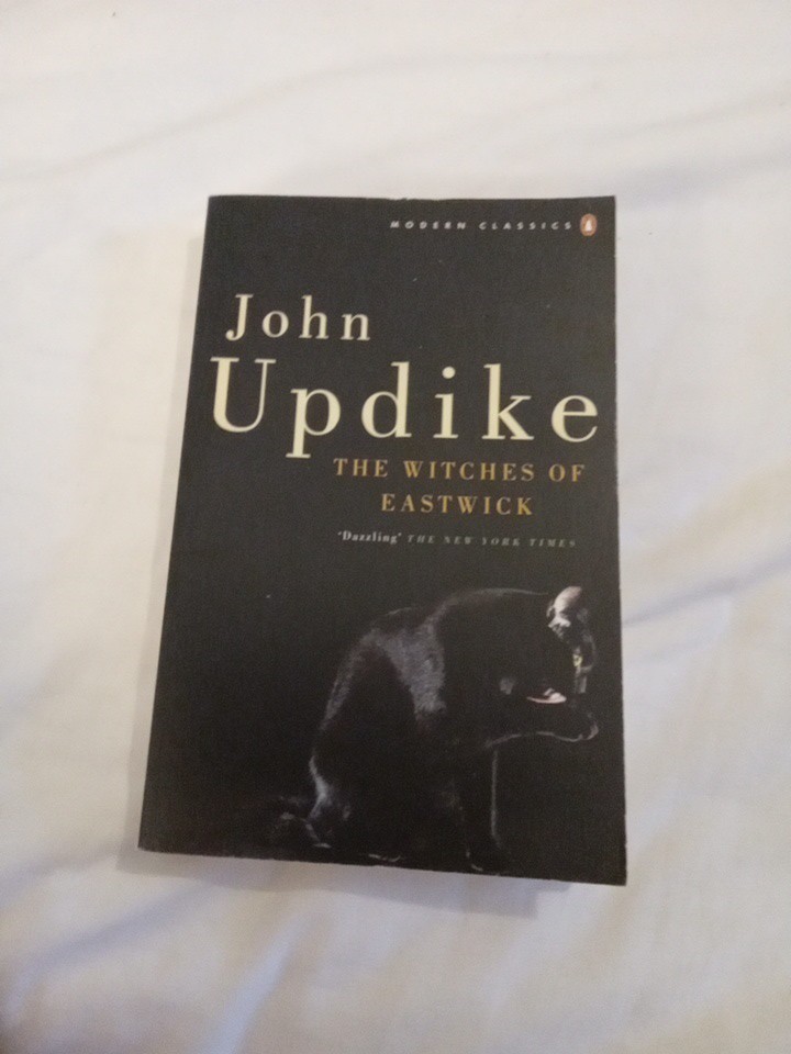 Witches of Eastwick John Updike Paperback Penguin Books Ltd Book Modern Classic