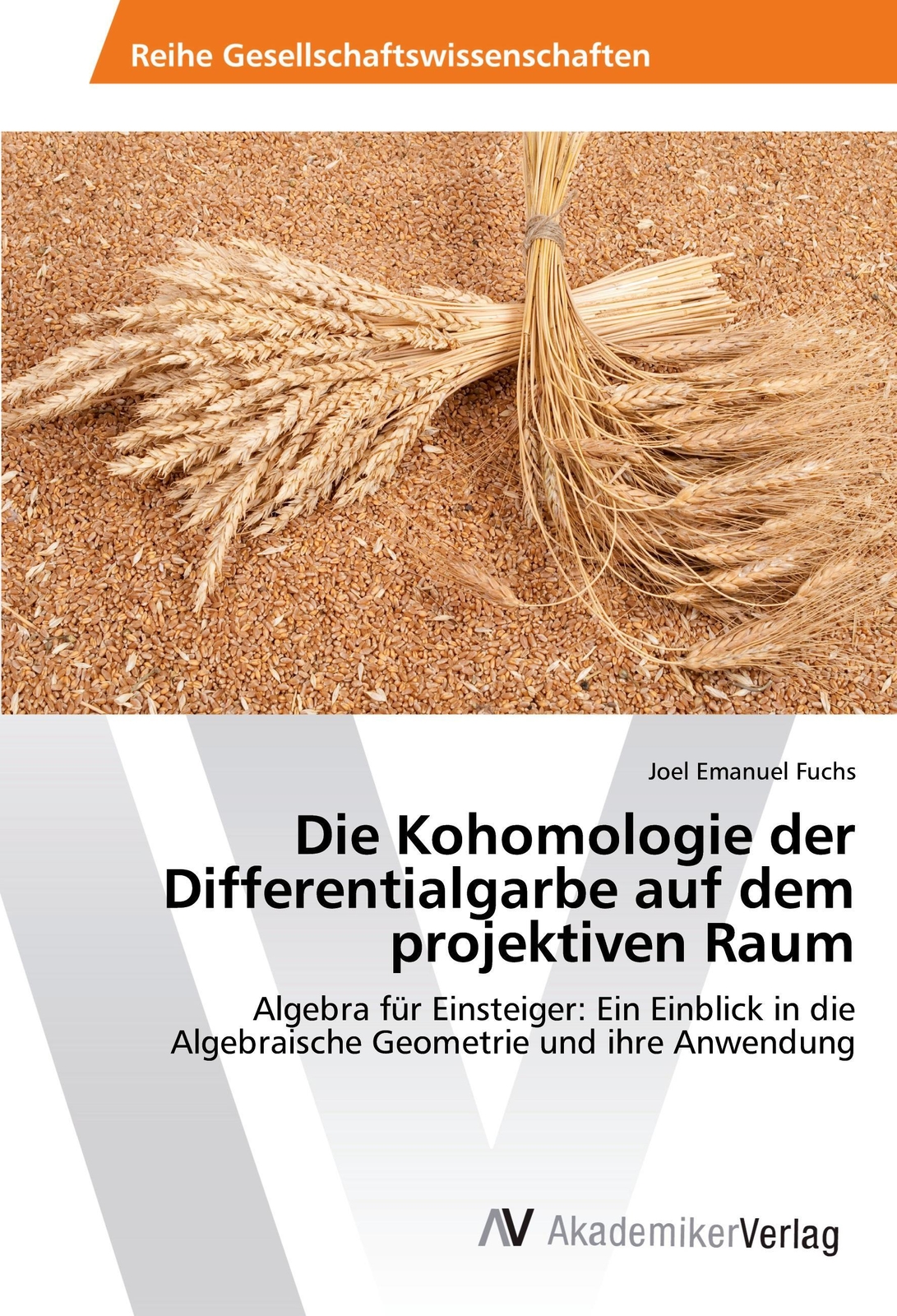Thumbnail - Joel Emanuel Fuchs | Die Kohomologie Der Differentialgarbe Auf Dem...