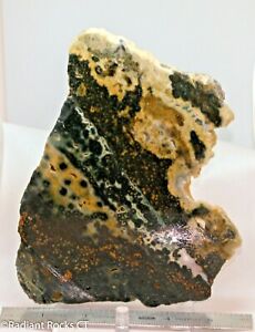Large Ocean Jasper Cabochon 60mm lgoj9 Madigascar mineral