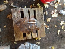  C1 Genuine Red Manzanita Burl Wood