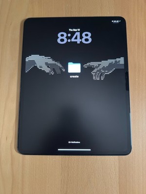Apple iPad Pro 13'' M4 256GB Wi-Fi + Cellular Unlocked - Space Black - Read Desc!
