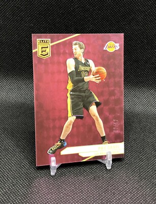 2023-24 Donruss Elite Pau Gasol /17 PINK FOTL SSP No. 101   HALL OF FAME!