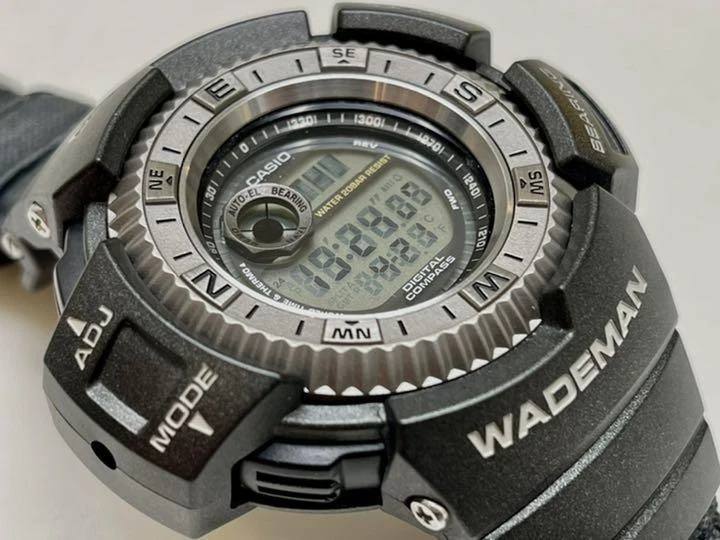 Casio G-shock Wademan DW-9800 Digital Green (1793 | eBay