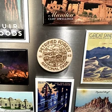 Petrified Forest National Park Souvenir Gift Fridge Wood Magnet NPS gift