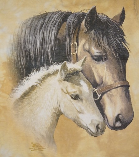 Vintage The Mountain Horses T Shirt Youth Small Tie Dyed Mare Foal Mama & Baby - Picture 2 of 6