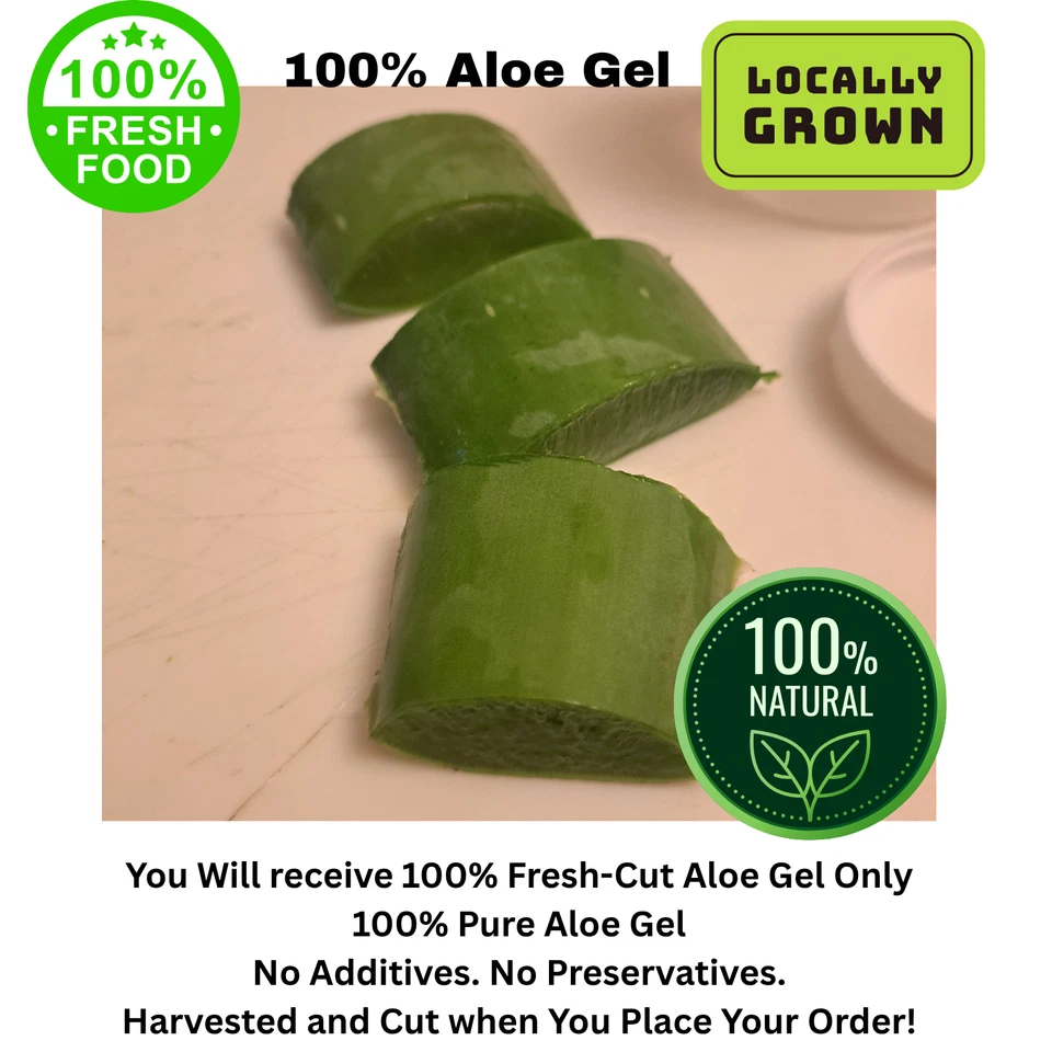 Aloe Vera 100% Gel Raw ( Freshly Cut & Blended -Home Grown and All Natural) - Image 2 of 4