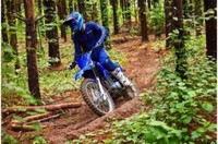 2022 Yamaha TTR - 230