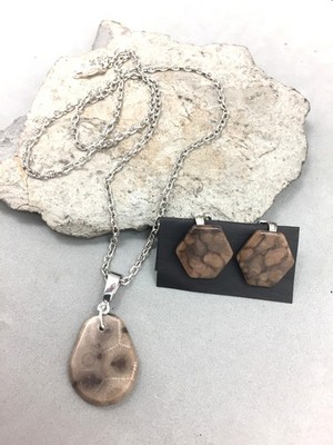 Teardrop Petoskey Stone Pendant 22'' Silver Tone Fossil Coral Rock & Earring Set