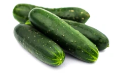 200+ Carolina Cucumber Seeds ------------------- Heirloom -- Organic -- NON GMO