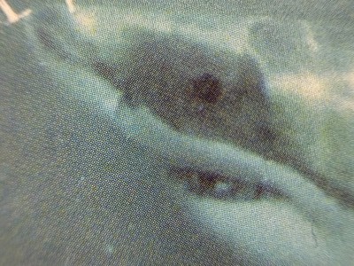 DUNE RATS SEXY BEACH SOCIAL ATOMS ROCK CASSETTE BRISBANE AUSTRALIA