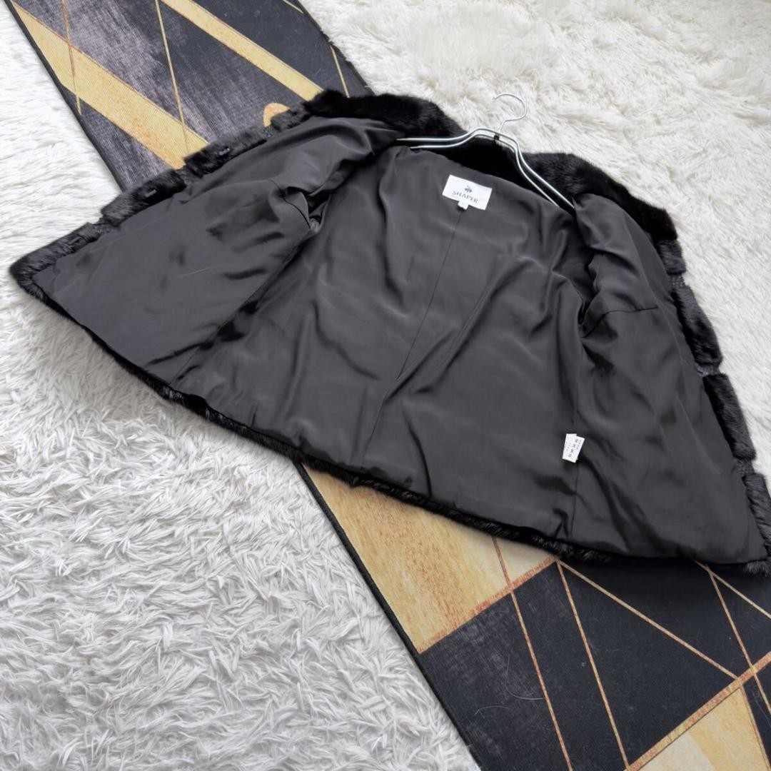 Black Mink Fur Cropped Jacket Python Trim Horizon… - image 8