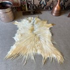 Picture 3 of 7