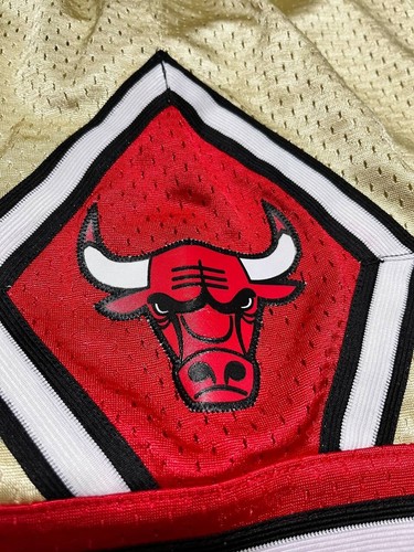 Mitchell & Ness Chicago Bulls Scottie Pippen 1997-98 Swingman Jersey and Shorts - 第 16/19 張圖片