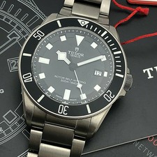 tudor diver