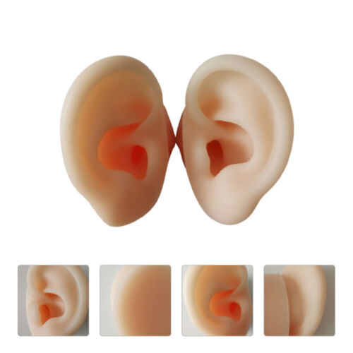 Ear Picking Model Clear Adhesive Stickers Display Sample - Picture 1 of 12