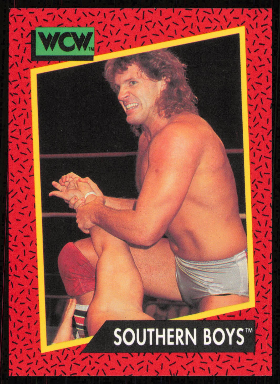 1991 Impel WCW #131 Southern Boys Card