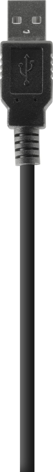 Bild 12 von 24