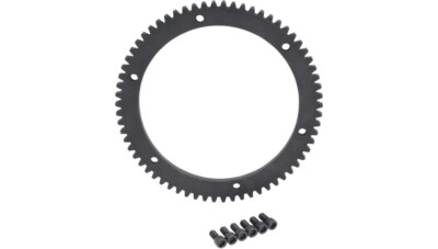 Starter Ring Gear 66 Tooth Harley-Davidson Electra Glide Classic