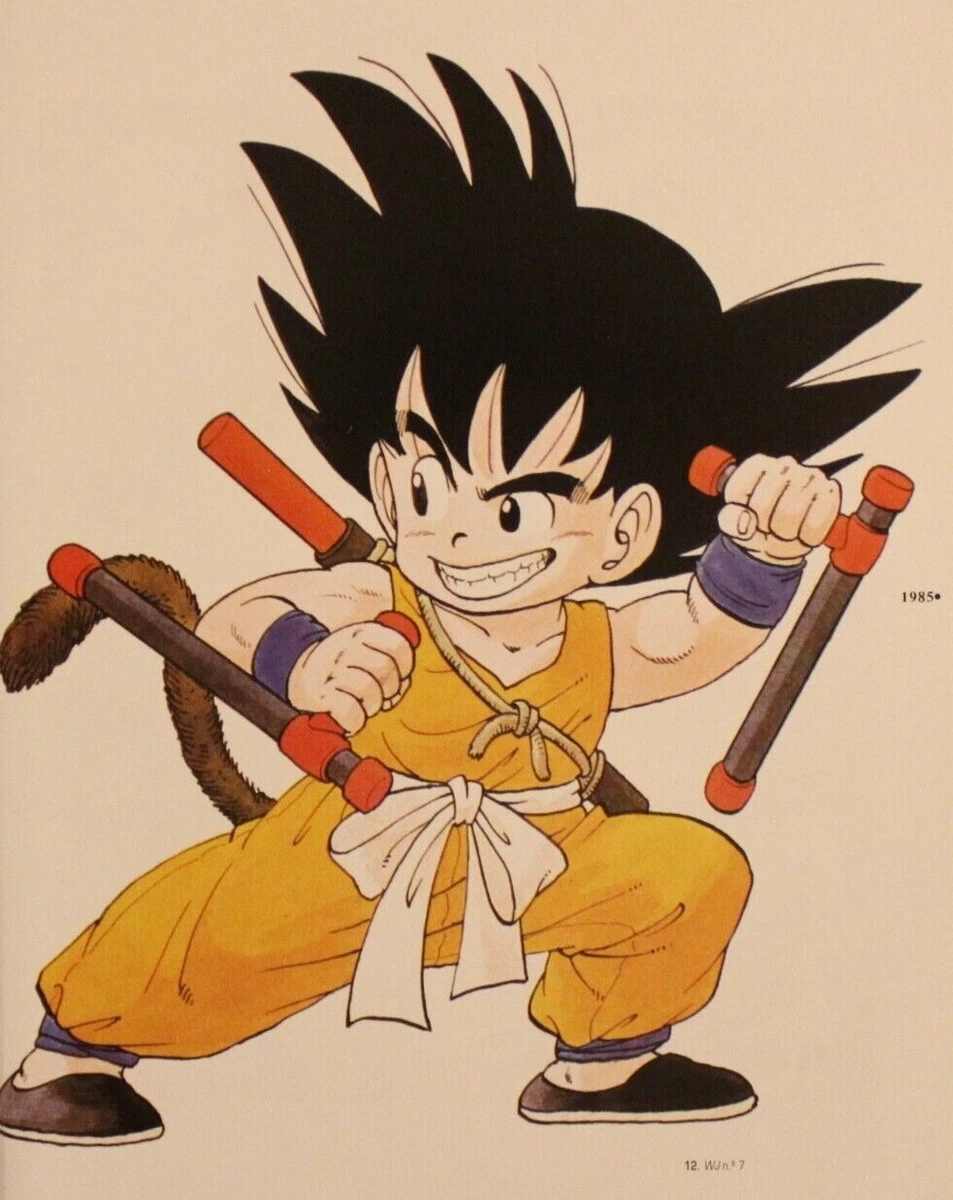 1996 Dragon Ball DOUBLE-SIDED MINIPOSTER 2 Posters in 1