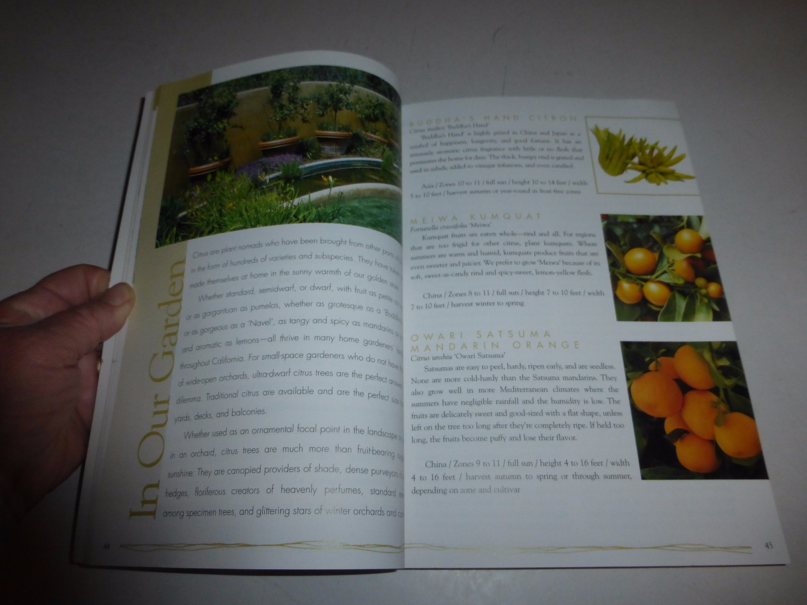 Picture 6 of 8