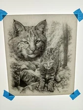 Authentic Vintage 90's Bobcat Wildcat Nature Heat Transfer Iron On NOS