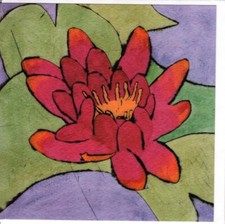 Richard Spare Red Waterlily Water Lily Blank Inside Greeting Card