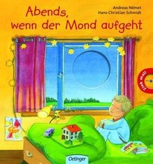 Abends, wenn der Mond aufgeht von Schmidt, Hans-Christia... | Buch | Zustand gut