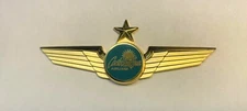 Caribbean Sun Airlines - First Officer Wing