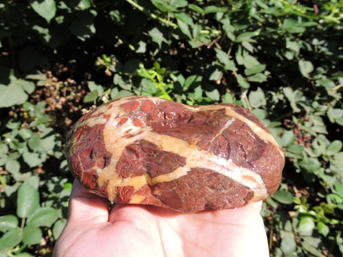 AAA Quality Whole California Jasper - Agate Nodules 5 lb+ Red Breccia Jaspagate - Picture 8 of 24