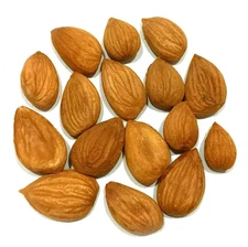 Apricot Kernels Raw Bitter Natural Seeds Premium Healthy Snack by NY Spice