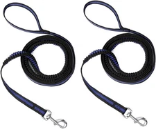 Dog Leash 8ft, 2Pack Shock-Absorbing Elastic Buffer Bungee Leads, 8FT 