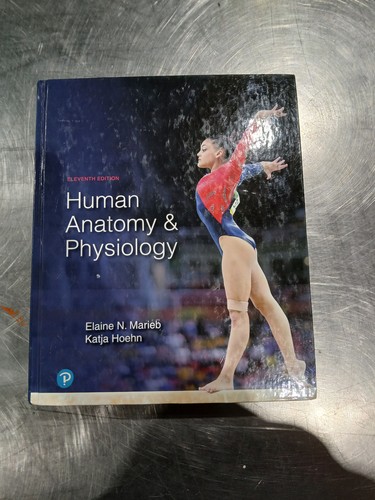 Human Anatomy & Physiology Hardcover, by Marieb Elaine; Hoehn Katja - GOOD - Bild 1 von 3