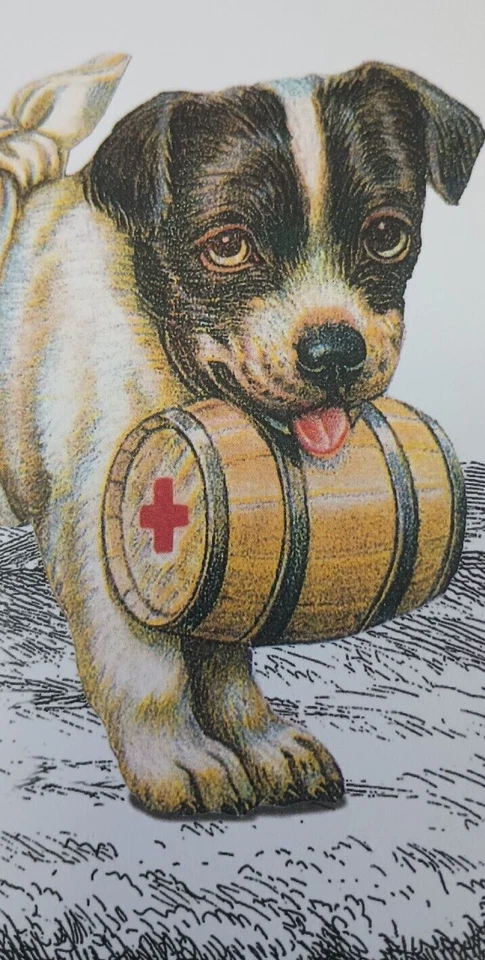 Tarjeta de primeros auxilios de San Bernardo Puppy Get Well Soon de los Alpes suizos italianos Cruz Roja Foto 2 de 4