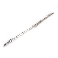 Professional Nickel Plated C Closed Hole Concert Band Flute Silver