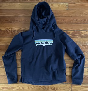 patagonia fitz roy bear moletom com capuz