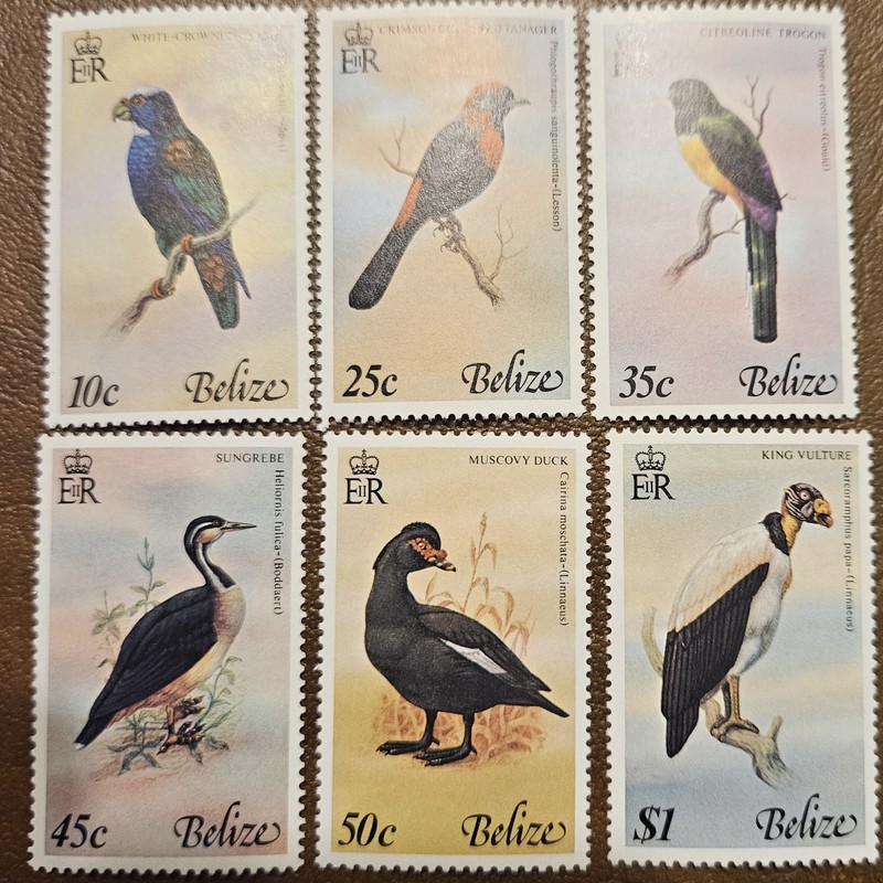 BELIZE 1978 Birds (Scott 398-403; SG 467-472) MNH