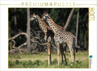 Calvendo Puzzle Giraffen – Zwillinge | 1000 Teile Lege-GrößE 64 × 48 Cm Foto-Puz