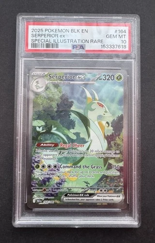 *PSA 10* Serperior ex 164/086 - Black Bolt - Special Illustration Rare SIR Mint
