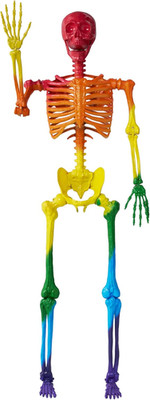 5.6 FT Halloween Posable Life Size Skeleton, Full Body Realistic Bones with Mova