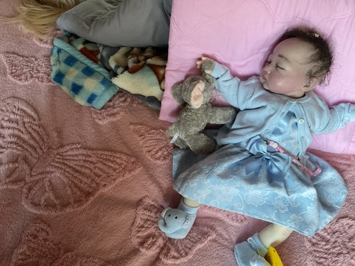 Reborn Baby Doll with visible Veins.Aria-Rose, Weighted &cuddly. - Picture 11 of 12